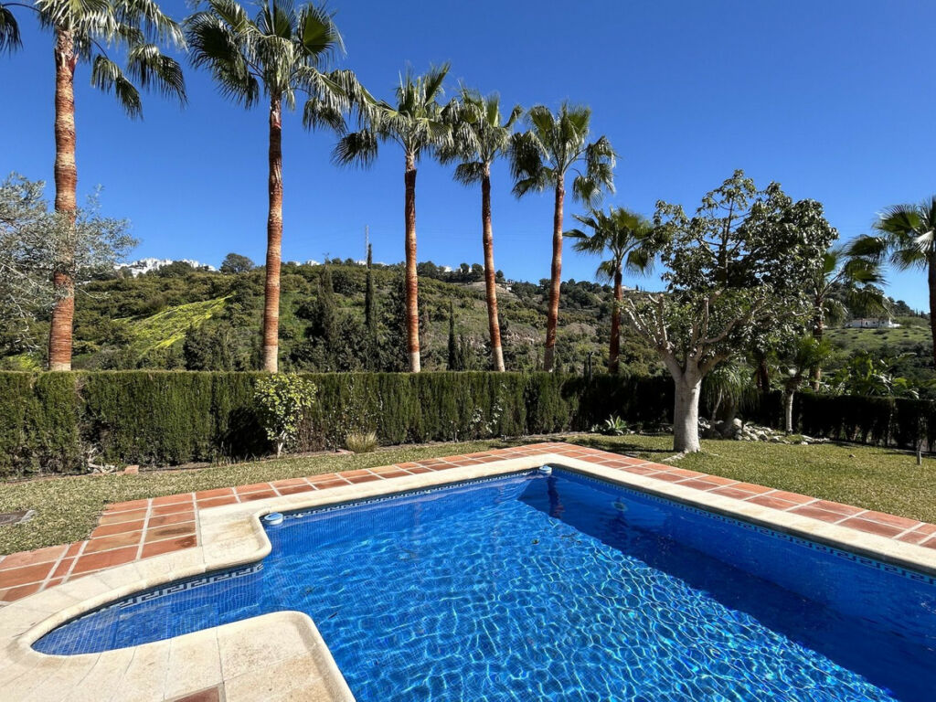 Detached Villa Frigiliana Málaga - image 43