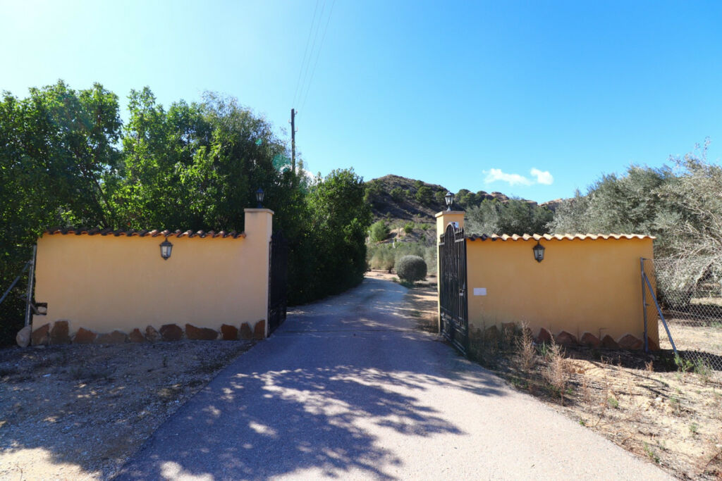 Detached Villa Aspe Alicante - image 43