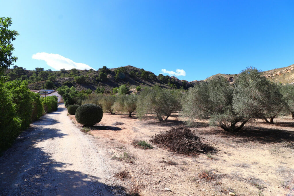 Detached Villa Aspe Alicante - image 44