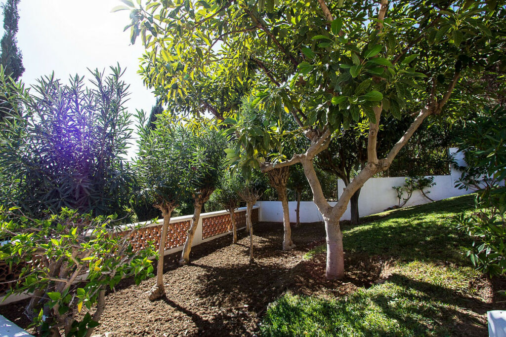 Detached Villa Mijas Costa Málaga - image 45