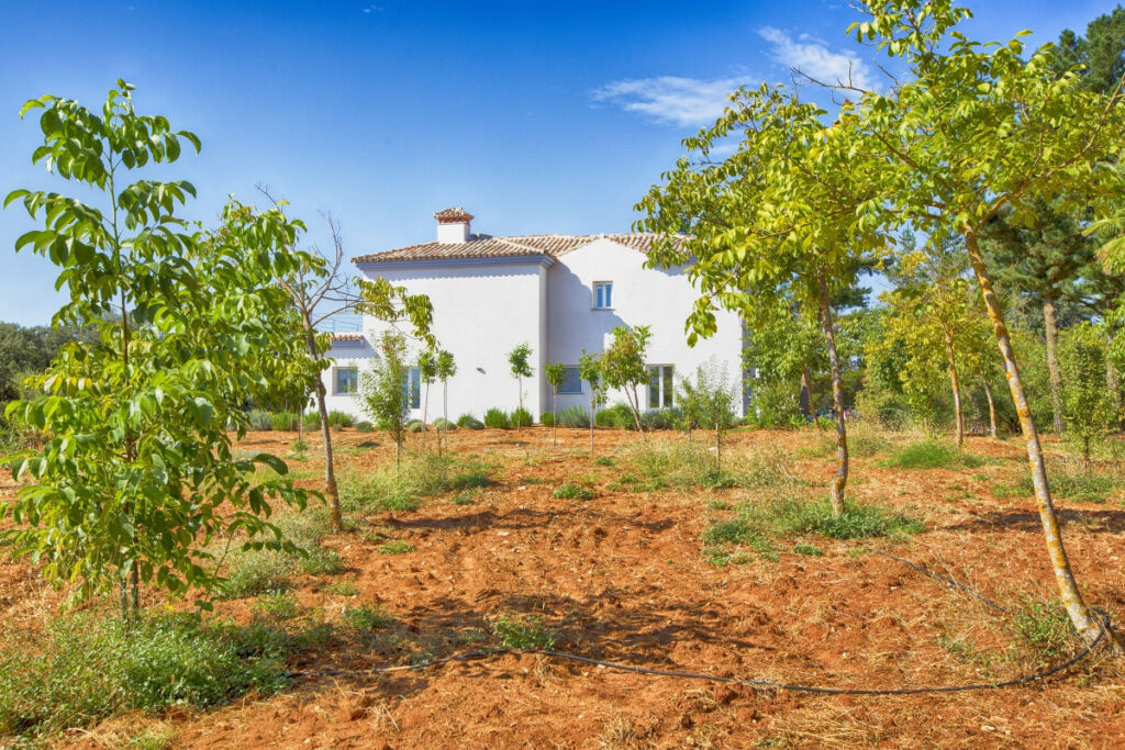 Farm Ronda Málaga - image 11