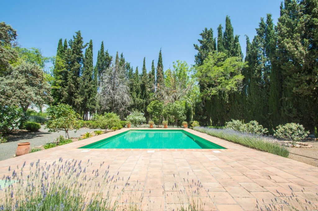 Finca - Cortijo Archidona Málaga - image 46