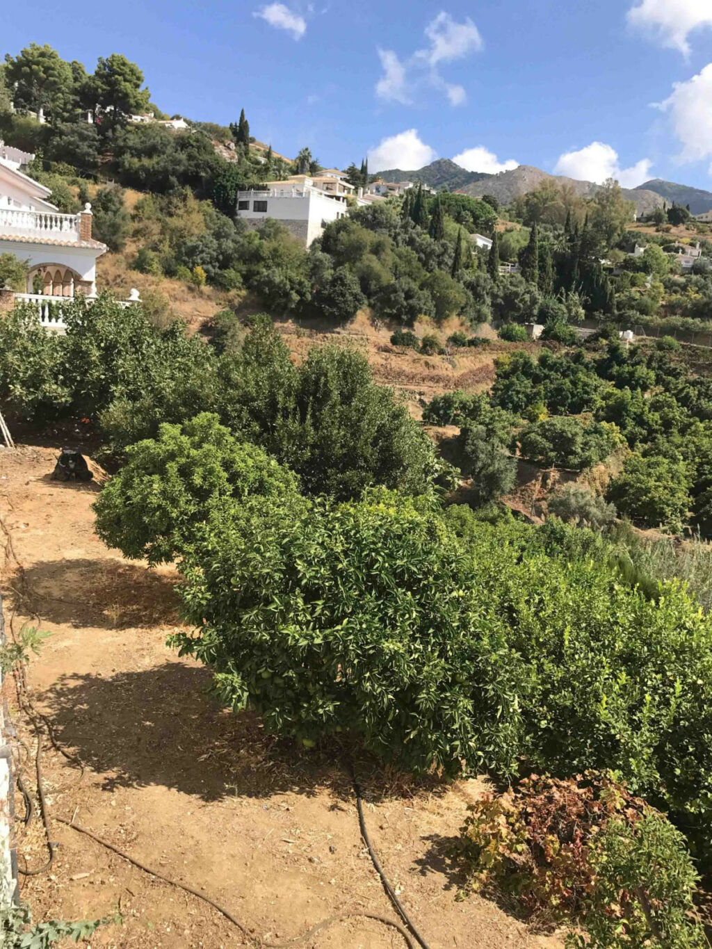 Detached Villa Mijas Málaga - image 46