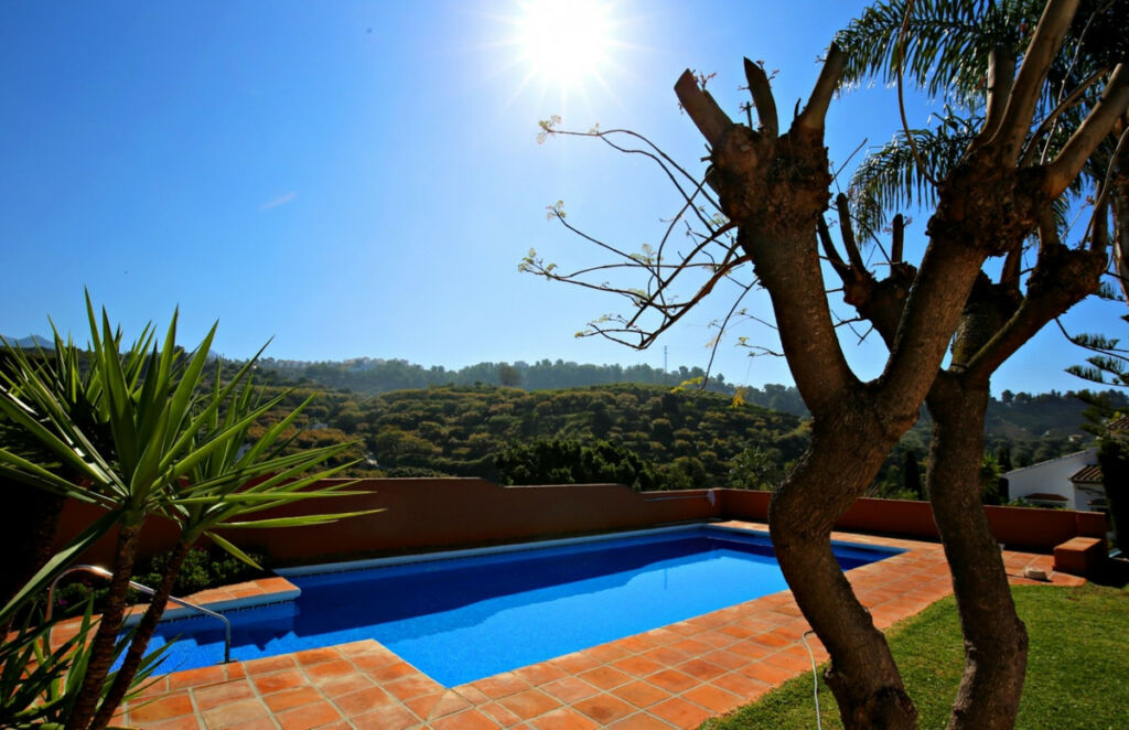Detached Villa Frigiliana Málaga - image 46