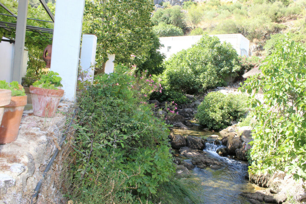 Hotel Ronda Málaga - image 46