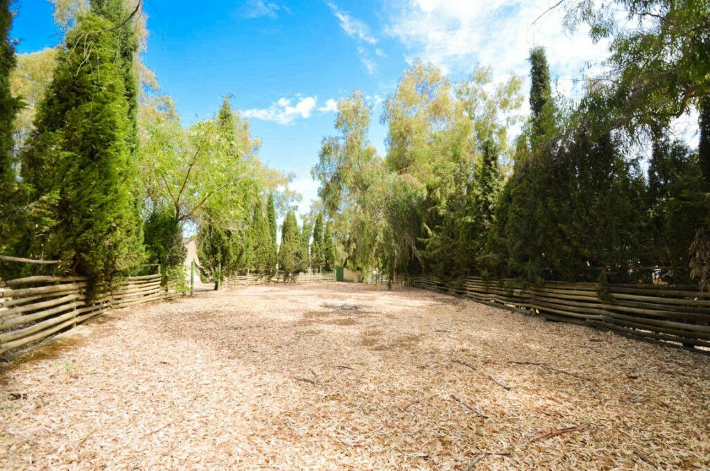 Finca - Cortijo Archidona Málaga - image 48