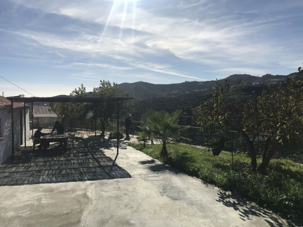 Finca - Cortijo Frigiliana Málaga - image 5