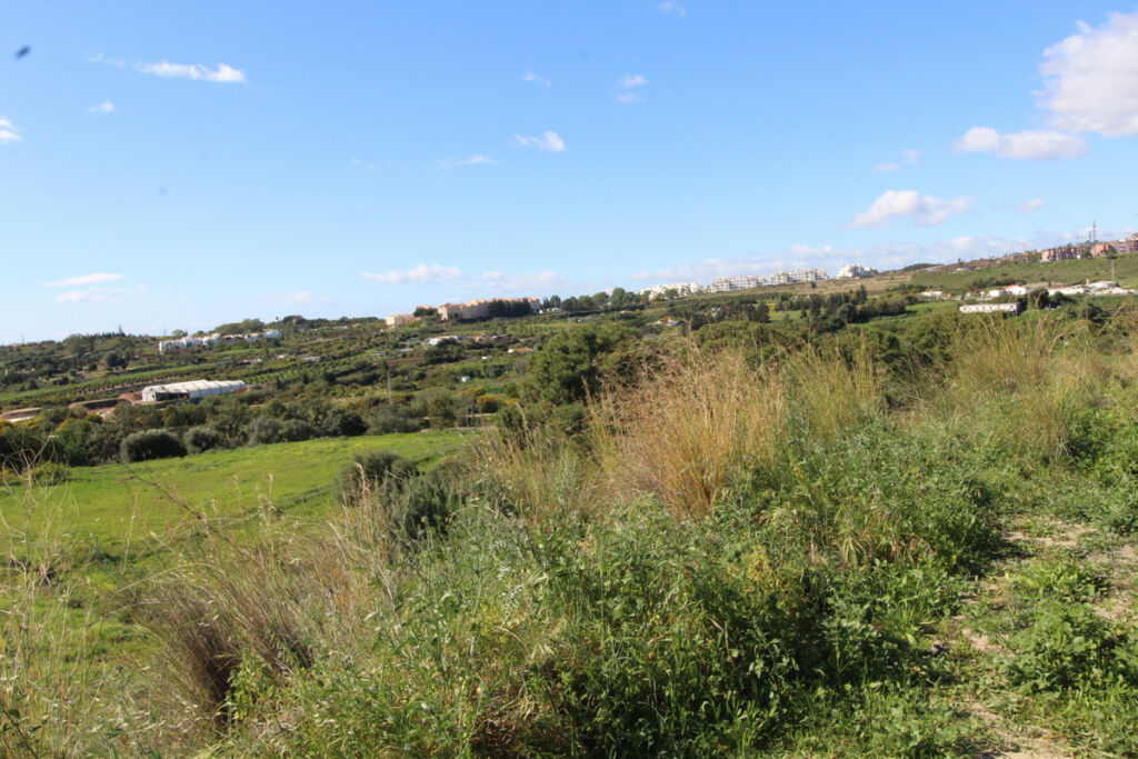 Residential Plot Benahavís Málaga - image 5
