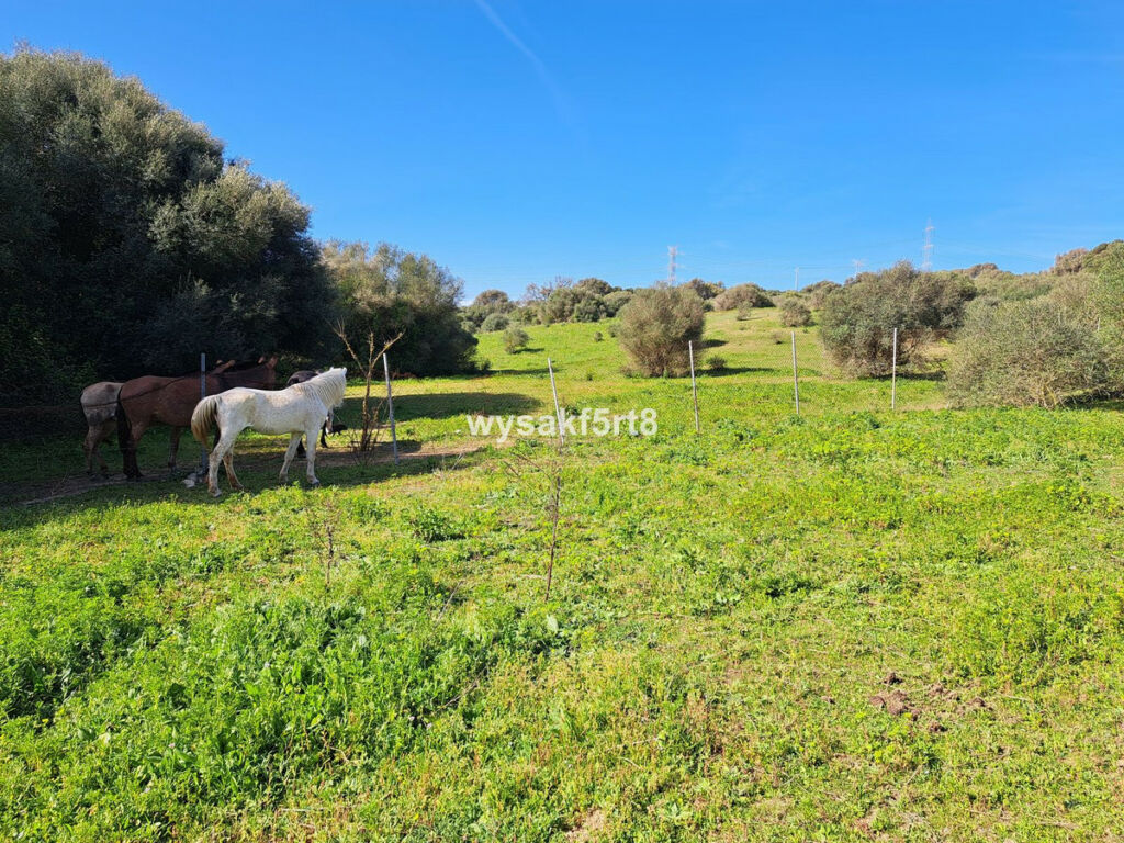 Land San Roque Cádiz - image 5