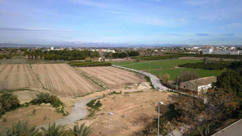 Land Benijofar Alicante - image 5
