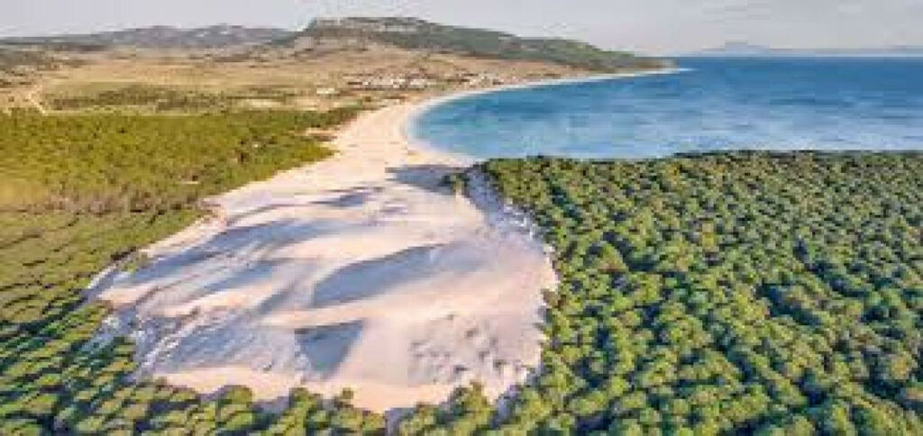 Land Tarifa Cádiz - image 5