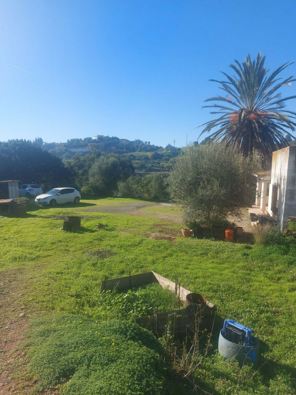 Finca - Cortijo Estepona Málaga - image 5