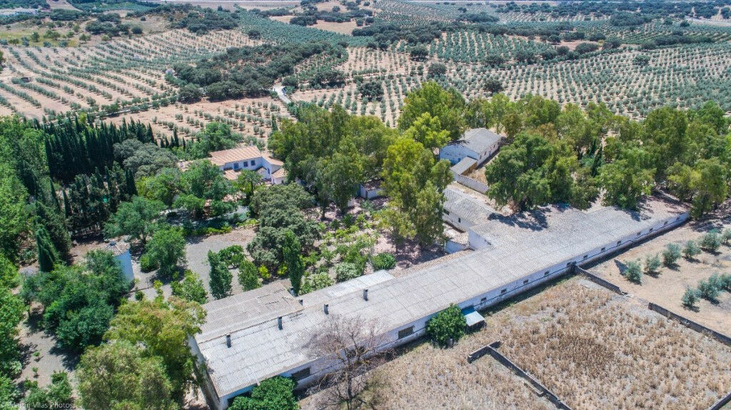 Finca - Cortijo Archidona Málaga - image 5