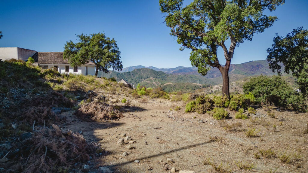 Residential Plot La Zagaleta Málaga - image 6