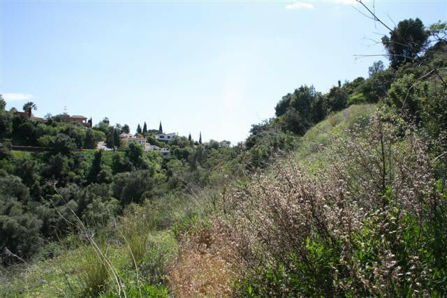 Residential Plot El Rosario Málaga - image 6