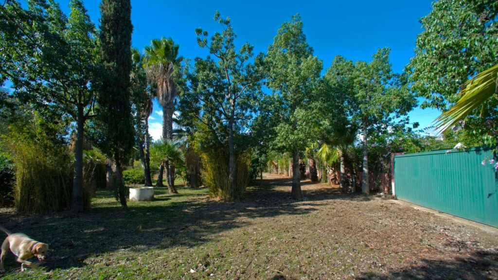 Finca - Cortijo Estepona Málaga - image 6