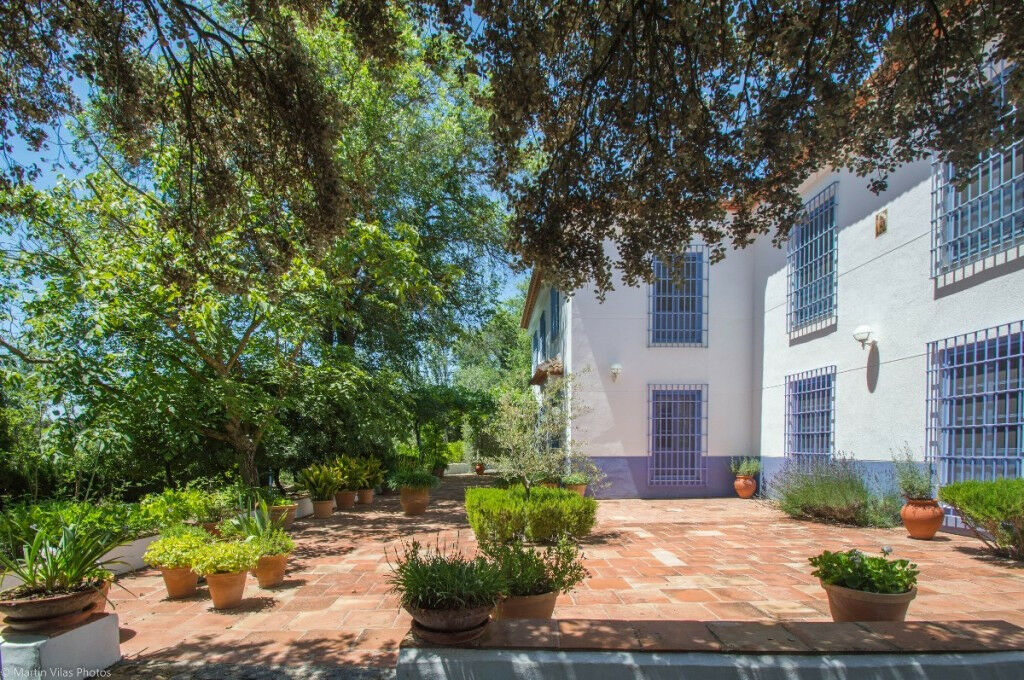 Finca - Cortijo Archidona Málaga - image 7