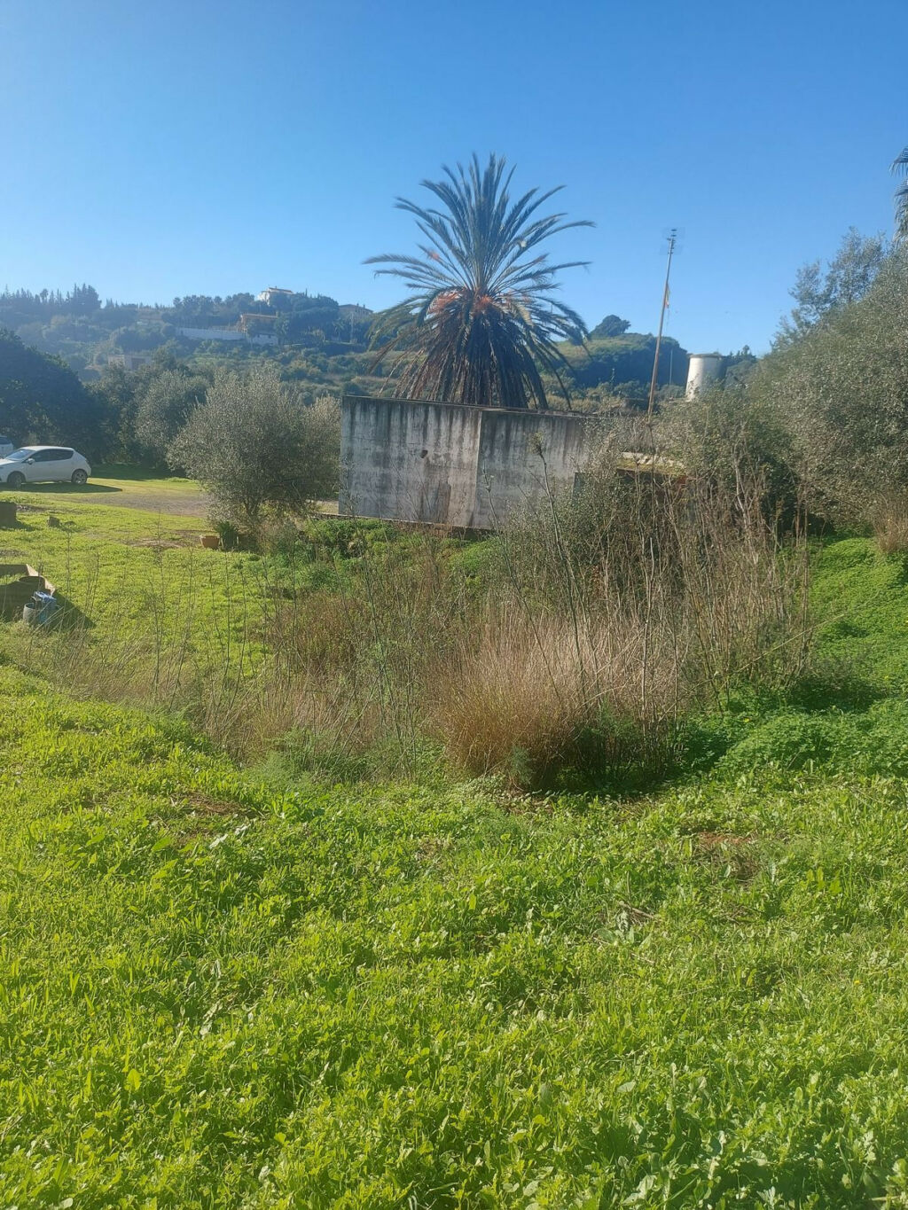 Finca - Cortijo Estepona Málaga - image 7