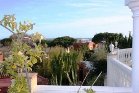 Detached Villa Calahonda Málaga - image 7