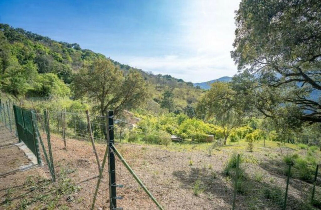 Land Genalguacil Málaga - image 8