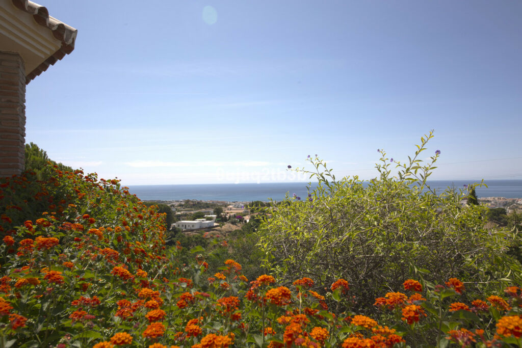 Detached Villa Estepona Málaga - image 8