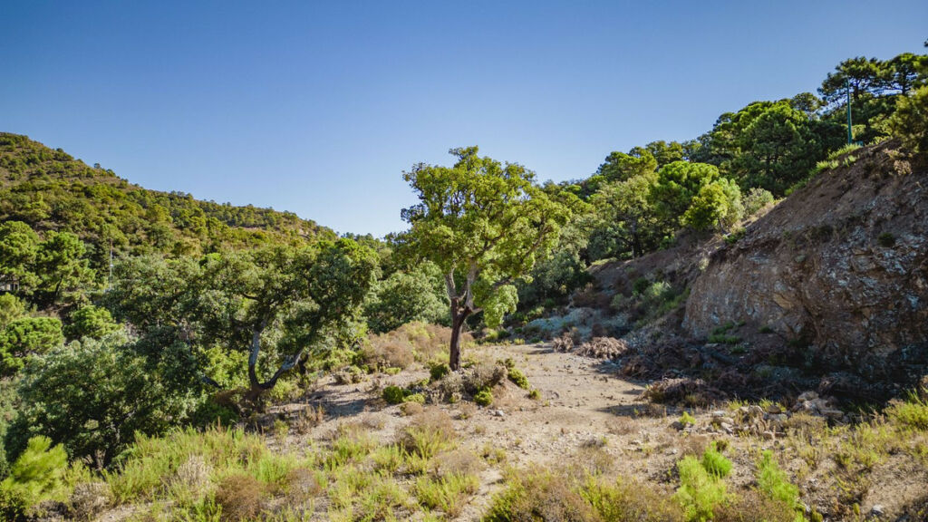 Residential Plot La Zagaleta Málaga - image 8
