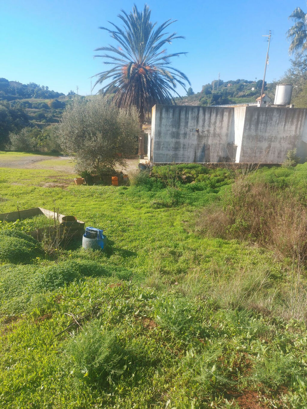 Finca - Cortijo Estepona Málaga - image 8