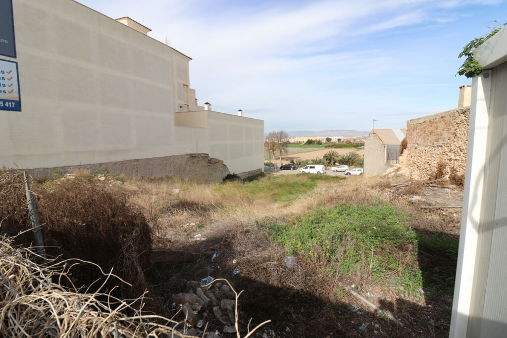Land Benijofar Alicante - image 8