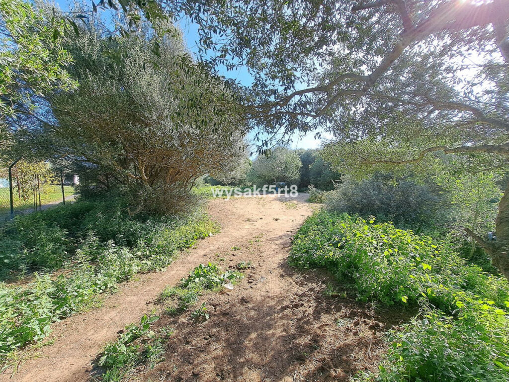 Land San Roque Cádiz - image 9