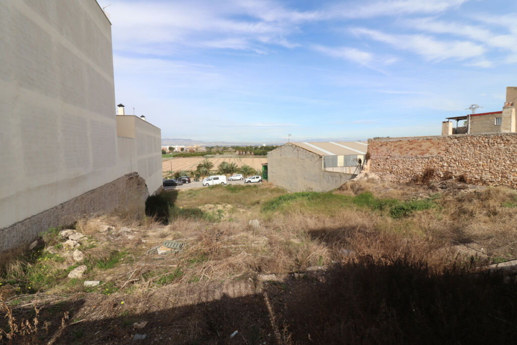 Land Benijofar Alicante - image 9