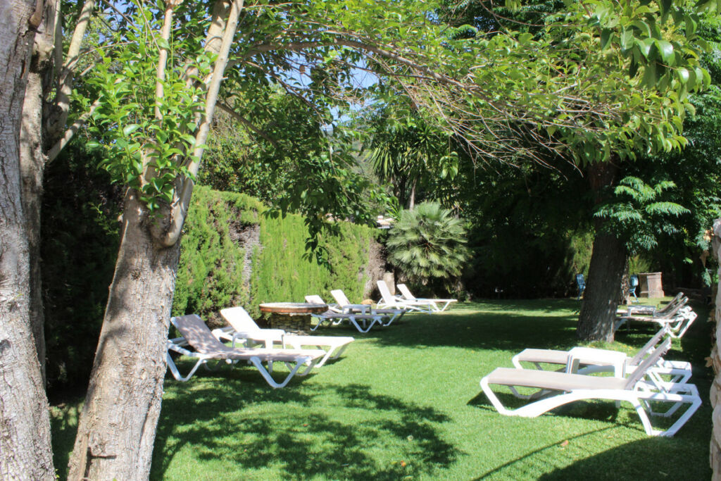 Hotel Ronda Málaga - image 9