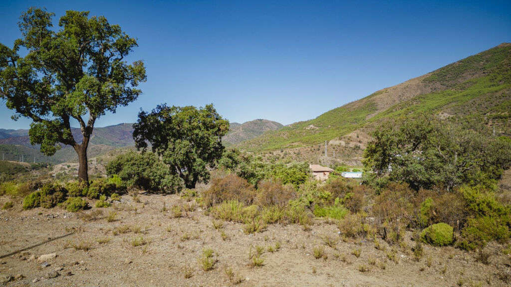 Residential Plot La Zagaleta Málaga - image 9