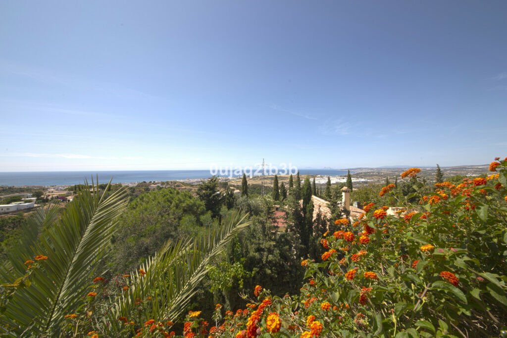 Detached Villa Estepona Málaga - image 9