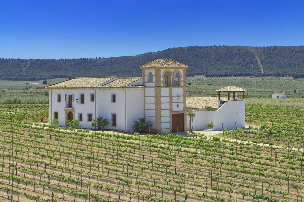 Finca - Cortijo Antequera Málaga - image 40