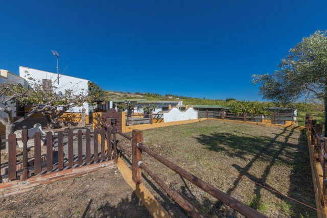 Detached Villa El Padron Málaga - image 11