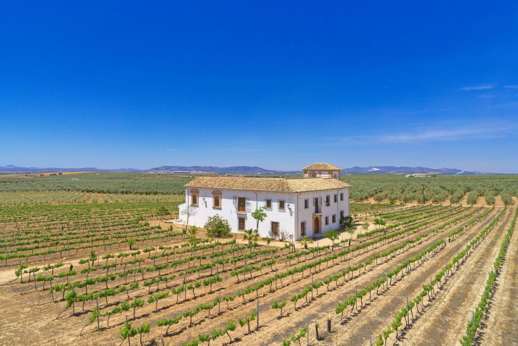 Finca - Cortijo Antequera Málaga - image 11