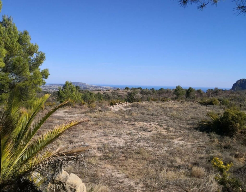 Land Bernia Alicante - image 13