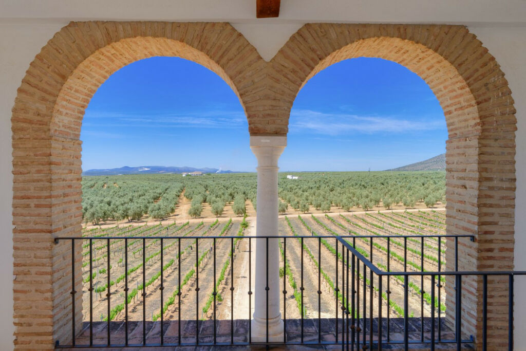 Finca - Cortijo Antequera Málaga - image 3