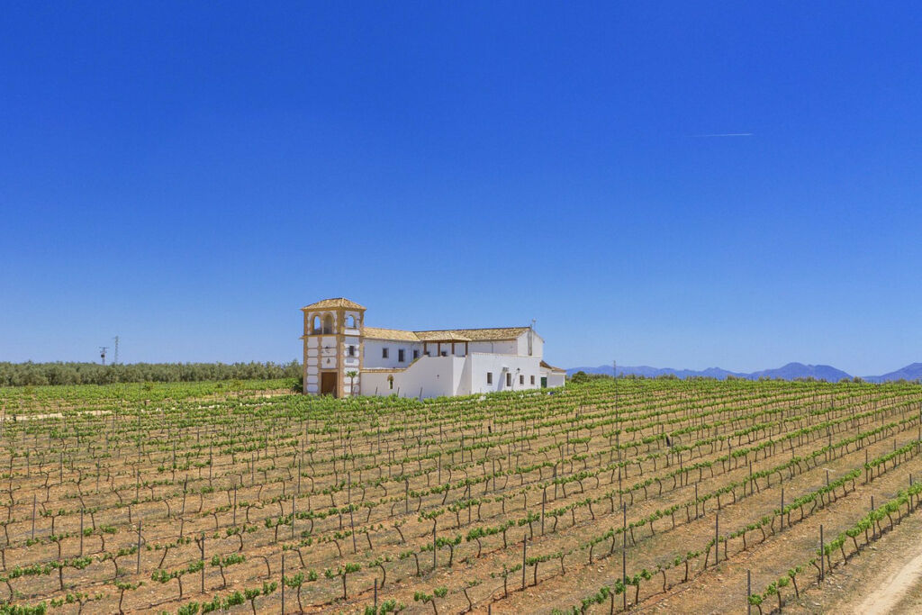 Finca - Cortijo Antequera Málaga - image 12