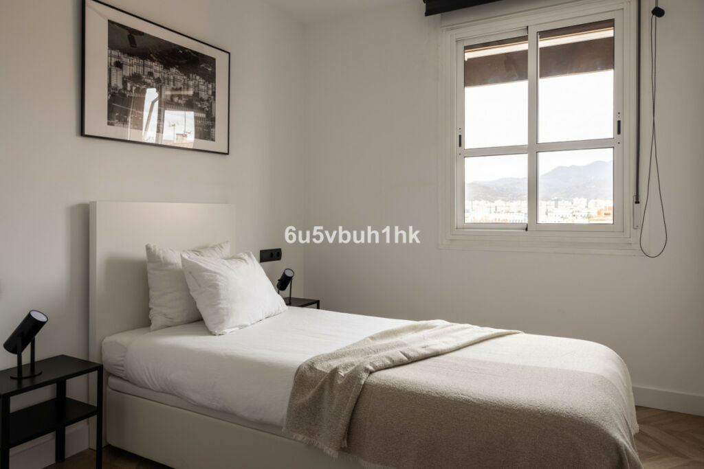 Middle Floor Apartment Málaga Málaga - image 15