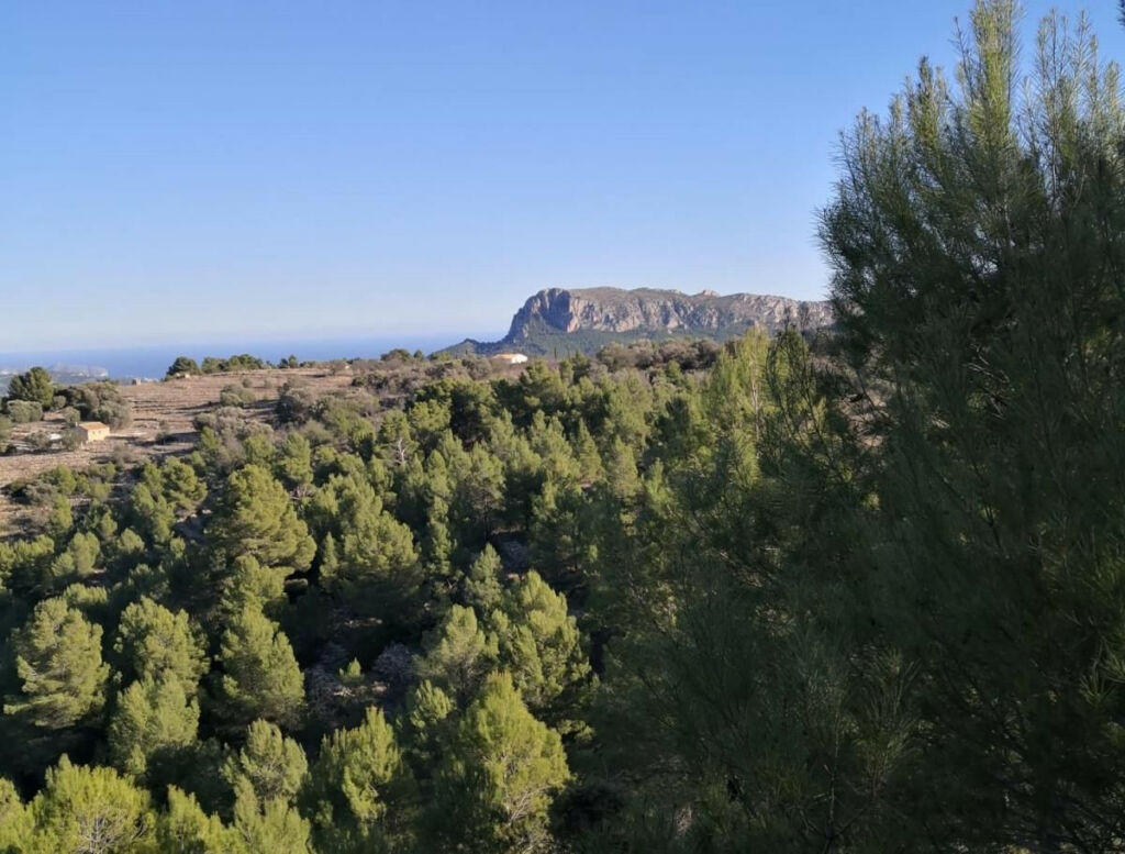 Land Bernia Alicante - image 15