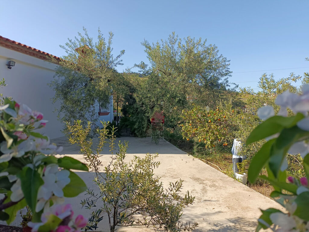 Detached Villa Monda Málaga - image 18