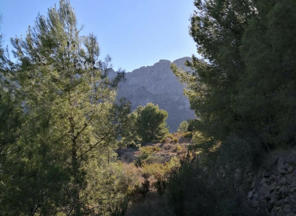 Land Bernia Alicante - image 16