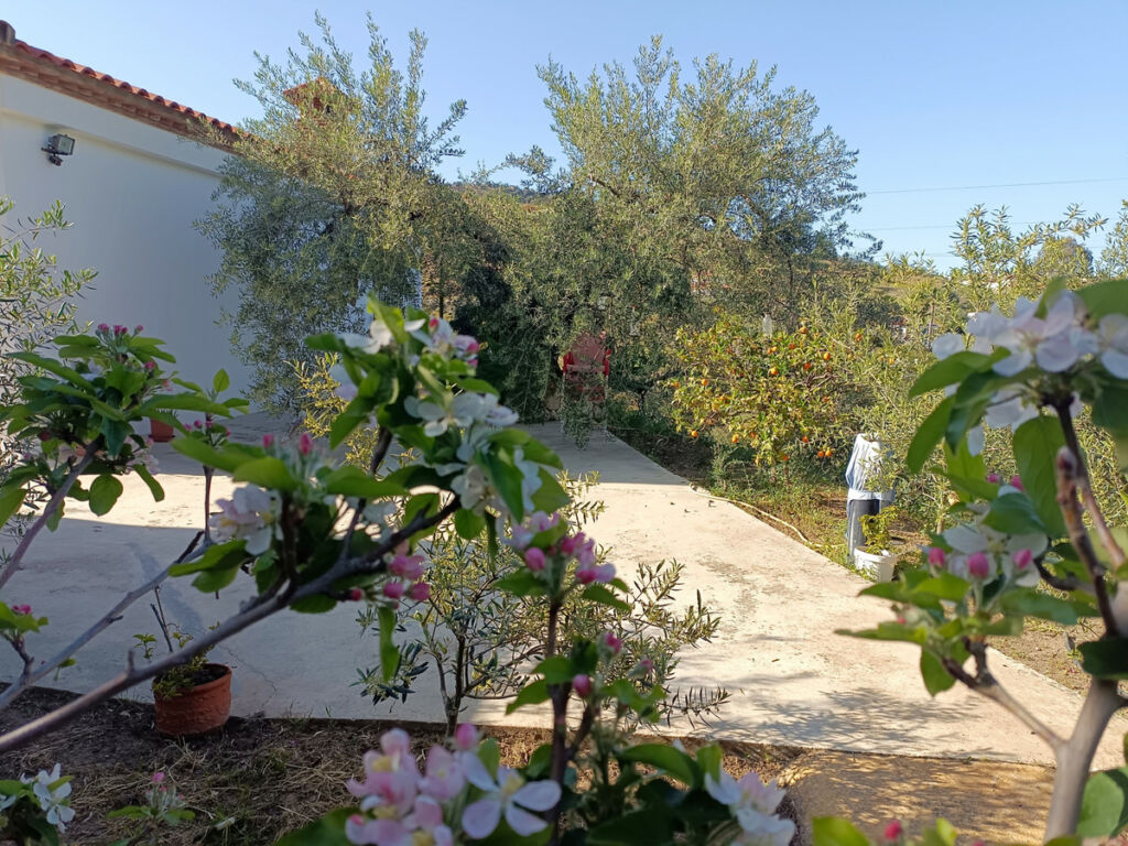 Detached Villa Monda Málaga - image 19