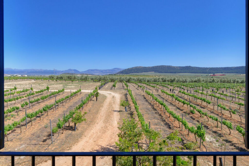 Finca - Cortijo Antequera Málaga - image 15
