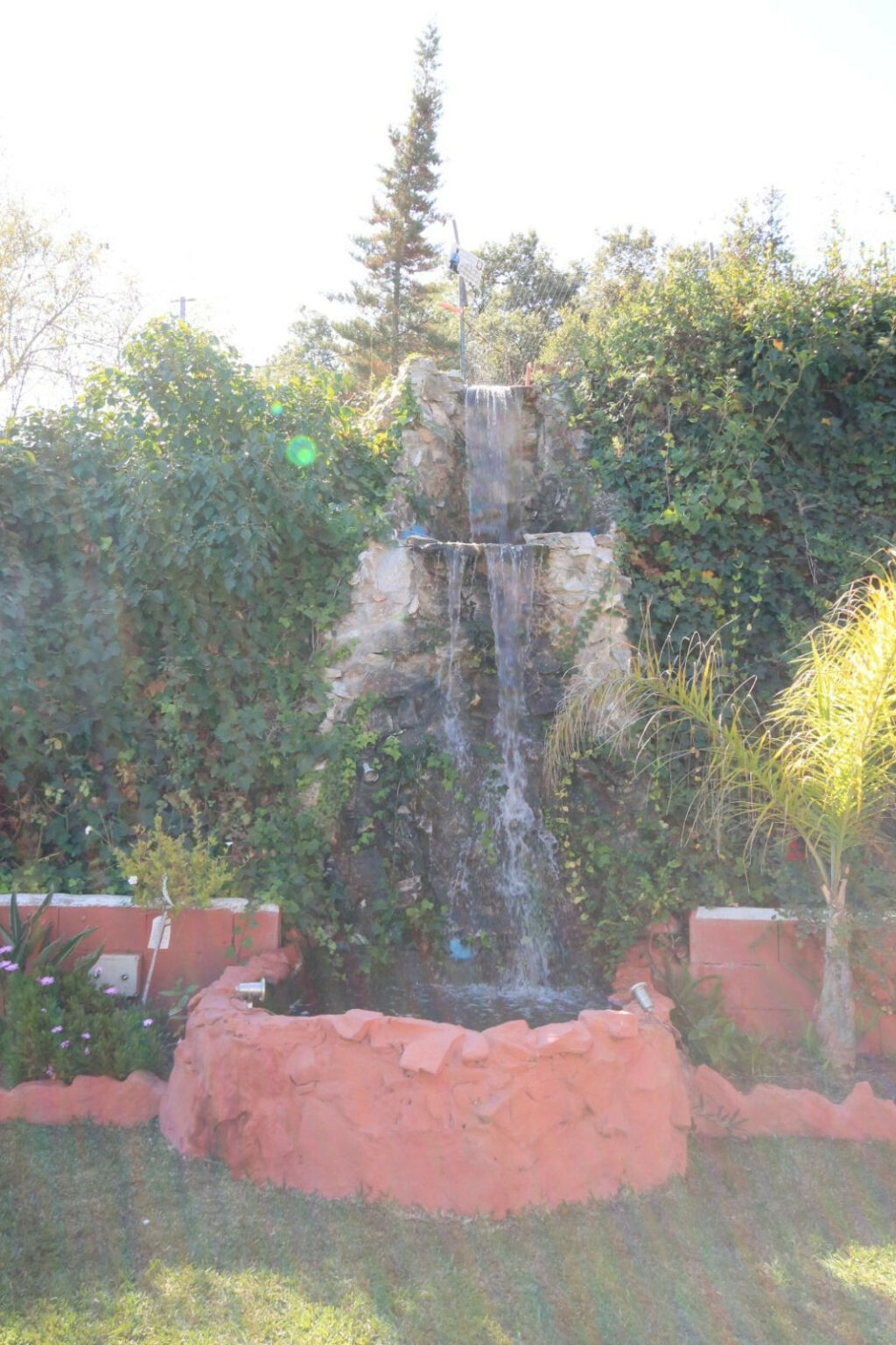 Finca - Cortijo Monda Málaga - image 17