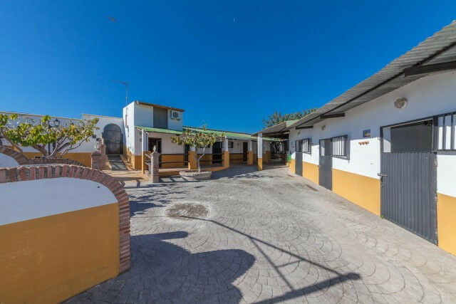 Detached Villa El Padron Málaga - image 18