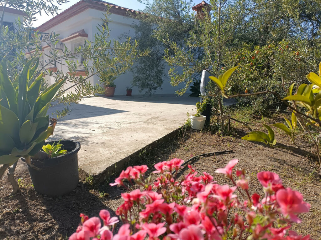 Detached Villa Monda Málaga - image 20