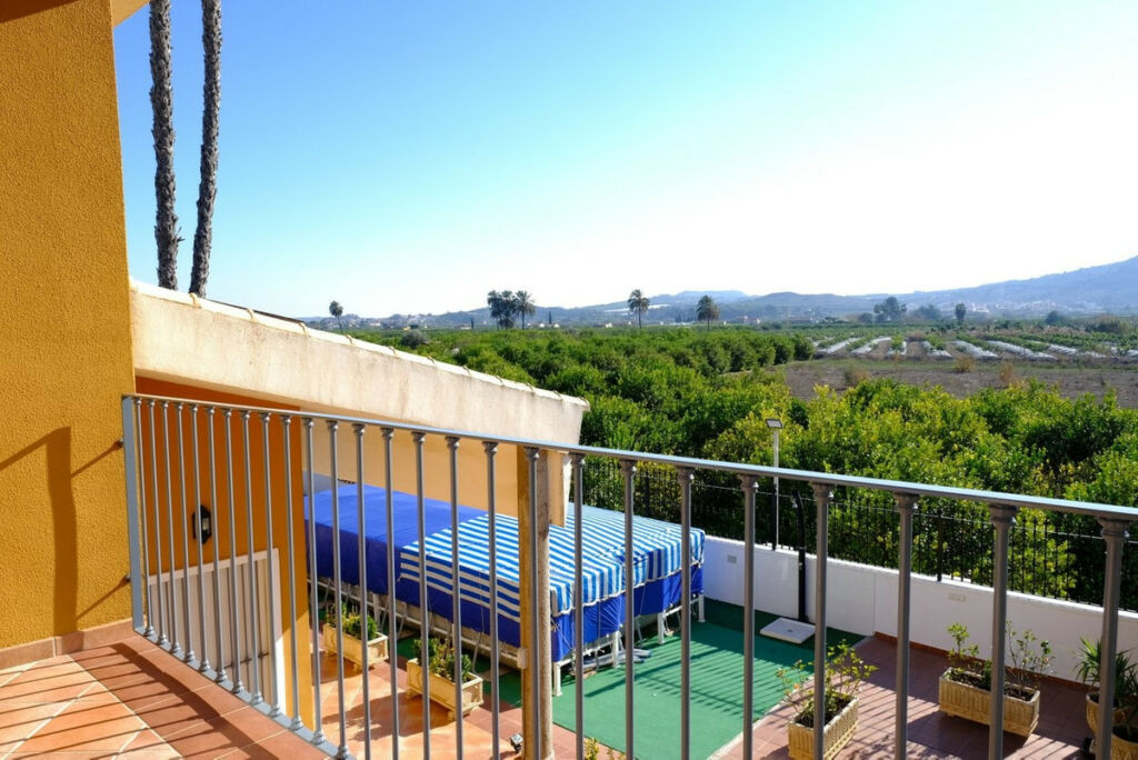 Finca - Cortijo Orihuela Alicante - image 18