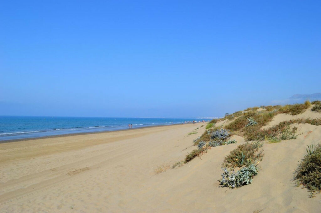 Middle Floor Apartment Estepona Málaga - image 17